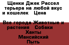 Щенки Джек Рассел терьера на любой вкус и кошелек › Цена ­ 13 000 - Все города Животные и растения » Собаки   . Ханты-Мансийский,Пыть-Ях г.